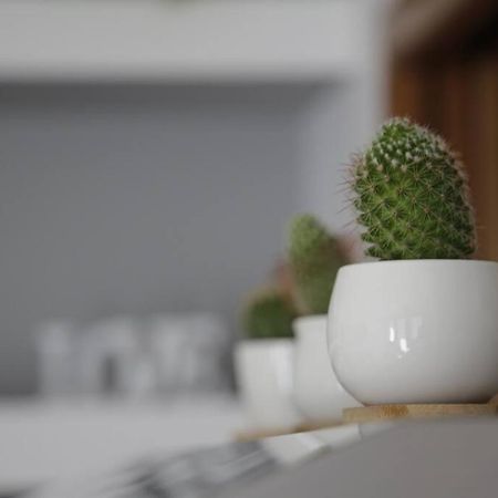 Iseo Lake Family&Friends Smart Home المظهر الخارجي الصورة
